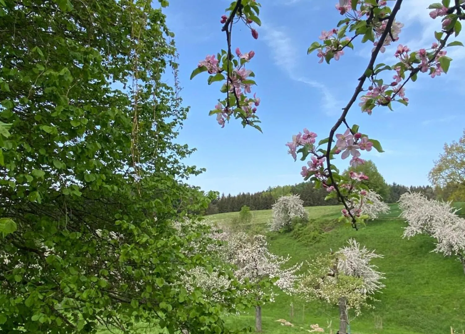 Klostergasthof Roggenburg 3*,